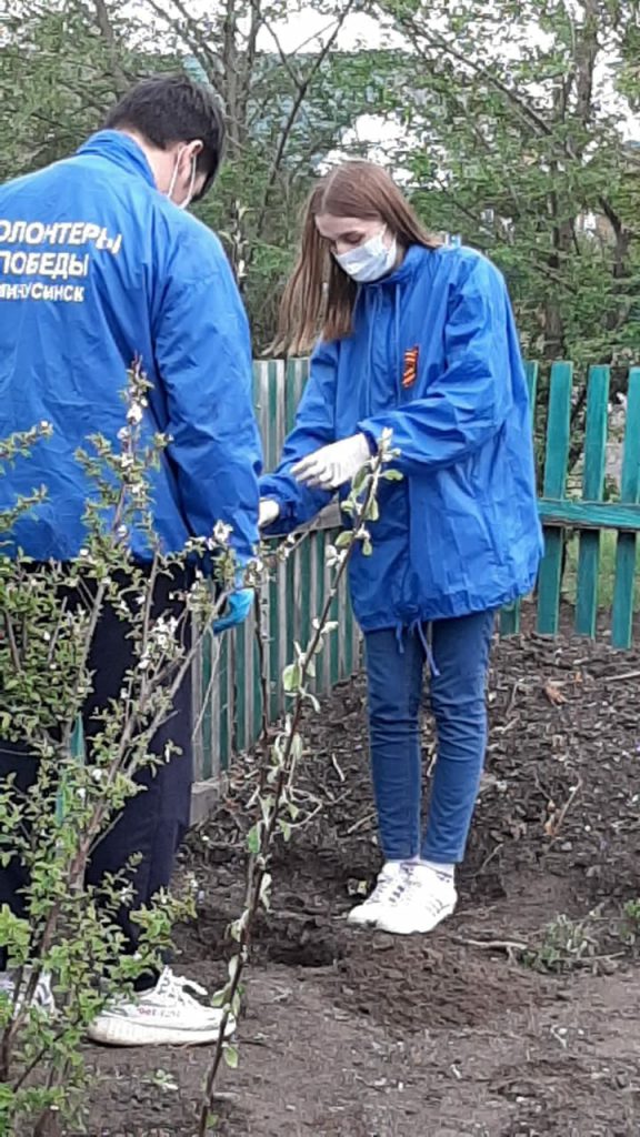 Волонтёры приняли участие во всероссийской акции, направленной на облагораживание территории перед окнами ветерана с высадкой растений